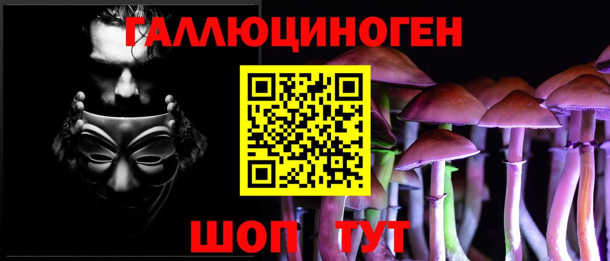 Псилоцибиновые грибы Psilocybine cubensis Тайшет